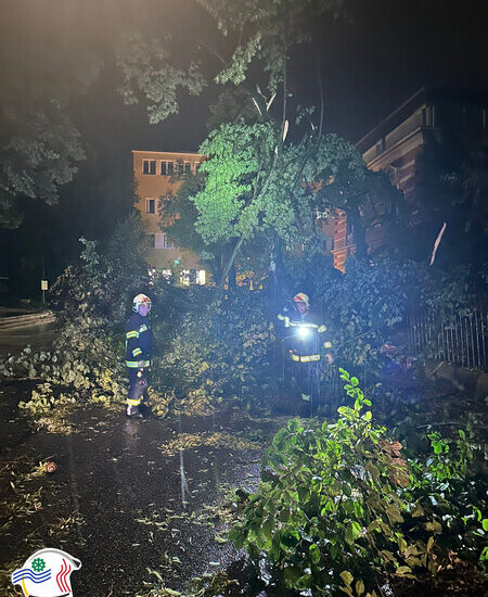 Gewitter beschert FF Wels einsatzreiche Nacht