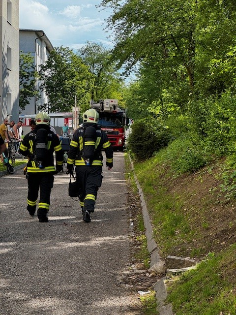 Brand Vogelweide