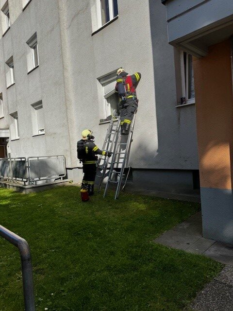 Brand Vogelweide