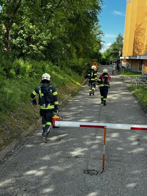 Brand Vogelweide