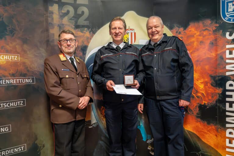 Bewerterverdienstabzeichen Gold